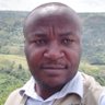 Koko Rukengeza's profile picture