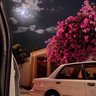 Leilya_el profil fotoğrafı