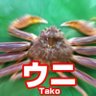 つきじいりふね profil fotoğrafı