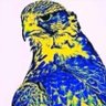 النصر وكفى ،، 的头像