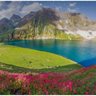 Muhammad Aijaz 的头像