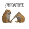 Daniel RuizCosta's profile picture