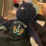 Фото профиля Embra Killie bear