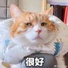 3D打印全民拥枪 profil fotoğrafı