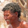 Profilbild von the dancing KhoiKhoi