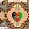 Profilbild von Hayat Khan Shinwari