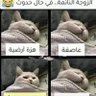 سلطان العراق's profile picture