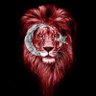 Profilbild von FERHAN ASLAN