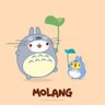 Profilbild von Totoro