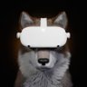 Profilbild von TomFrigginHanks