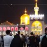 ماهر حسن's profile picture