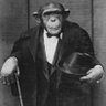 Profilbild von Peruvian_random