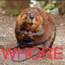 Joe Bob's profile picture