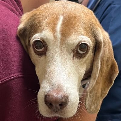 tomecurran's profile picture