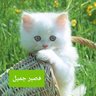 Profilbild von Cat