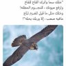 سعود المطيران profil fotoğrafı