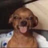 osnss's profile picture