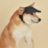 Profilbild von John Wumbo
