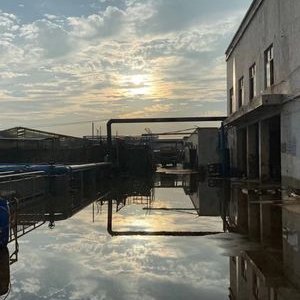 datouzhuzhuguai's profile picture