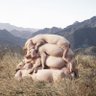 请注意，倒车！'s profile picture
