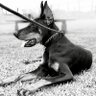 リズム profil fotoğrafı