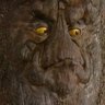 cyniikal's profile picture