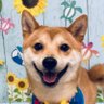 Profilbild von ann