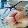 M-Ch profil fotoğrafı