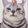 Alan15.K 🎨's profile picture