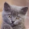 Profilbild von ユウ