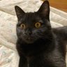 %gggggggggg profil fotoğrafı