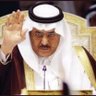النجم الثاقب profil fotoğrafı