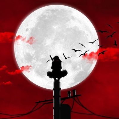 dontaieallen11's profile picture