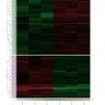 PuthanLab@MWUPHARM's profile picture