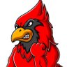 Фото профиля Cardinals Rant