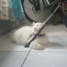 Faiz Don profil fotoğrafı