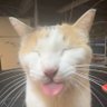 f1_'s profile picture