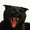 вечная мерз(л)ота's profile picture