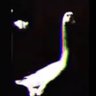 Profilbild von Melting One