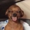Profilbild von Bruxa Keka