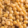Фото профиля Chickpeas