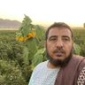 افغانستانی 的头像