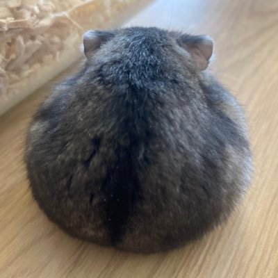 ミラクルリン's profile picture