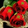 🇲🇦 Morocco Forever 🇲🇦's profile picture