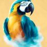 סוויטרס's profile picture