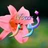 ّّنــــــــوّاره ㋡ 的头像