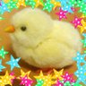 Profilbild von chizimi1229