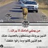 taiger profil fotoğrafı