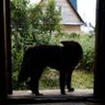 Lisa Lemberg profil fotoğrafı
