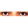 Alex Sr's profile picture